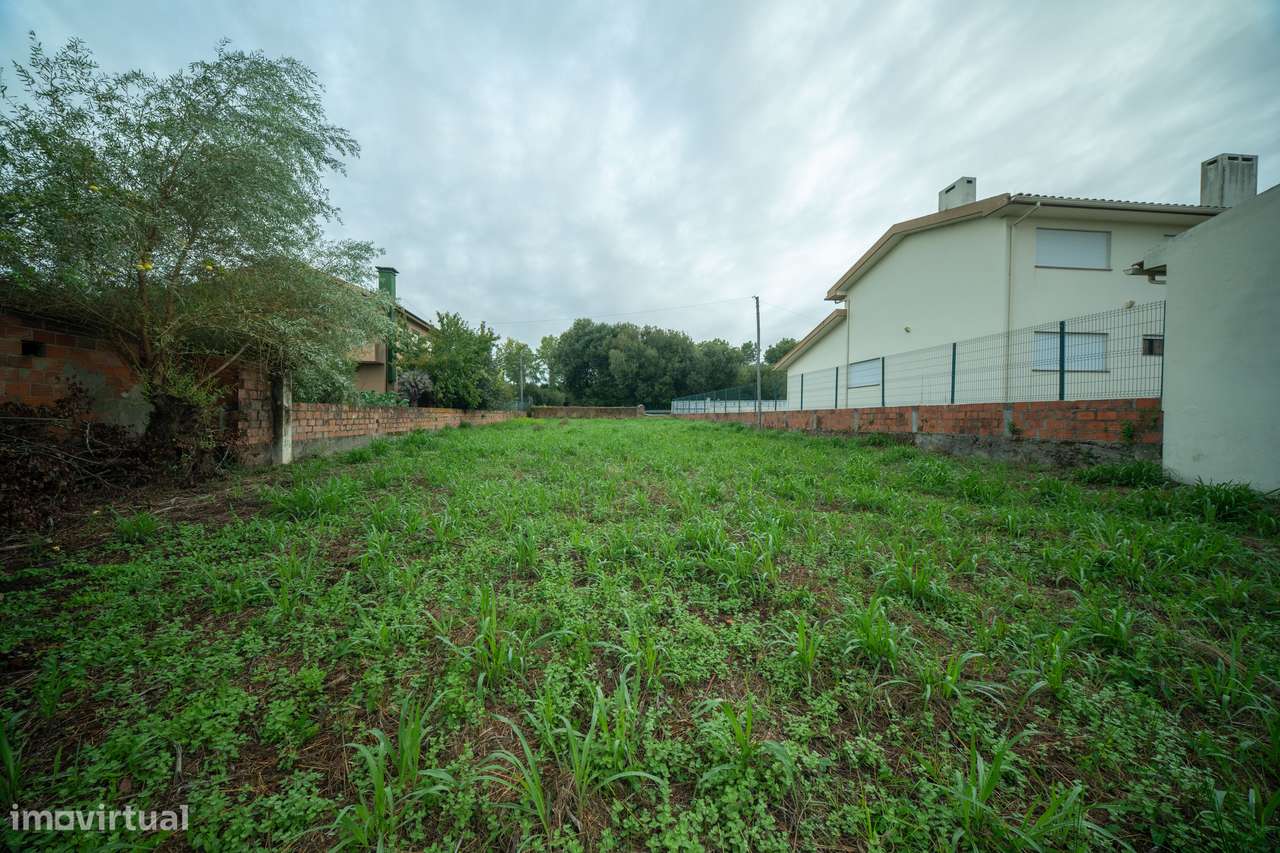 Terreno para venda - Murtosa-6