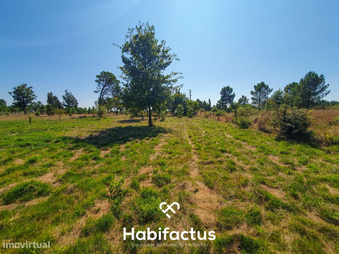 Terreno Rústico de 5.200m² em Vila Chá, Seia – Privacidade, Natureza e - Grande imagem: 5/6