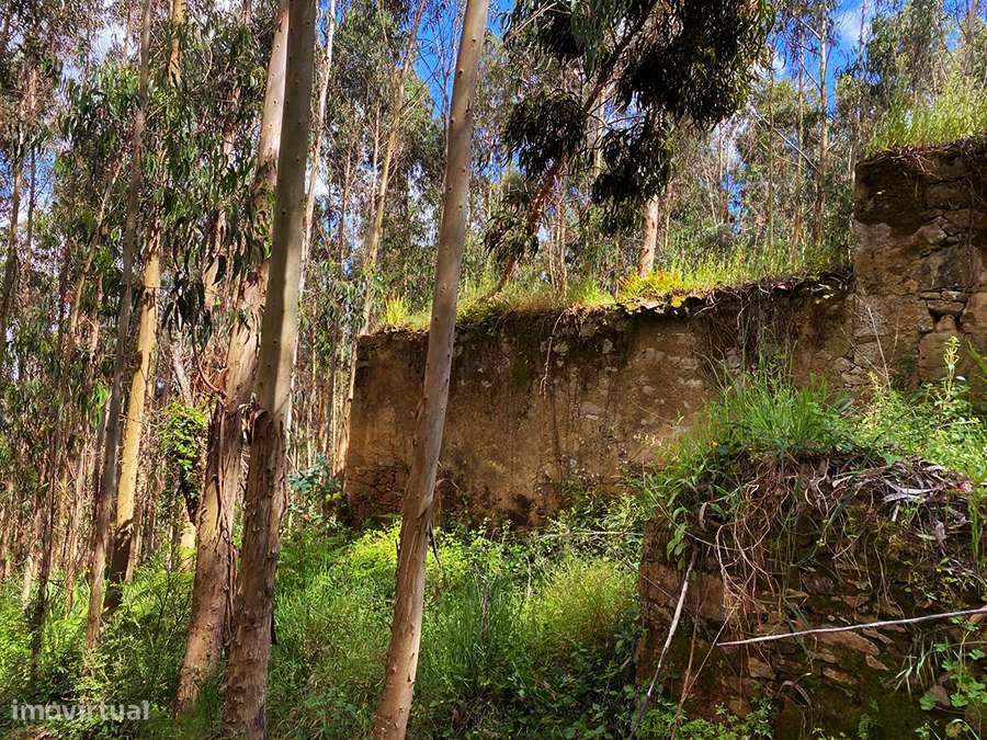 Grande terreno com habitação em ruína, 5 min. de C. da Rainha e Óbidos-6