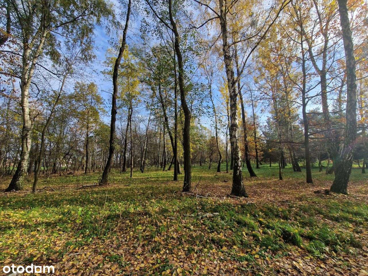 Działki bud. od 2154 m2 Błonie - Cholewy / prąd / woda / gaz - Pełny obrazek: 5/17