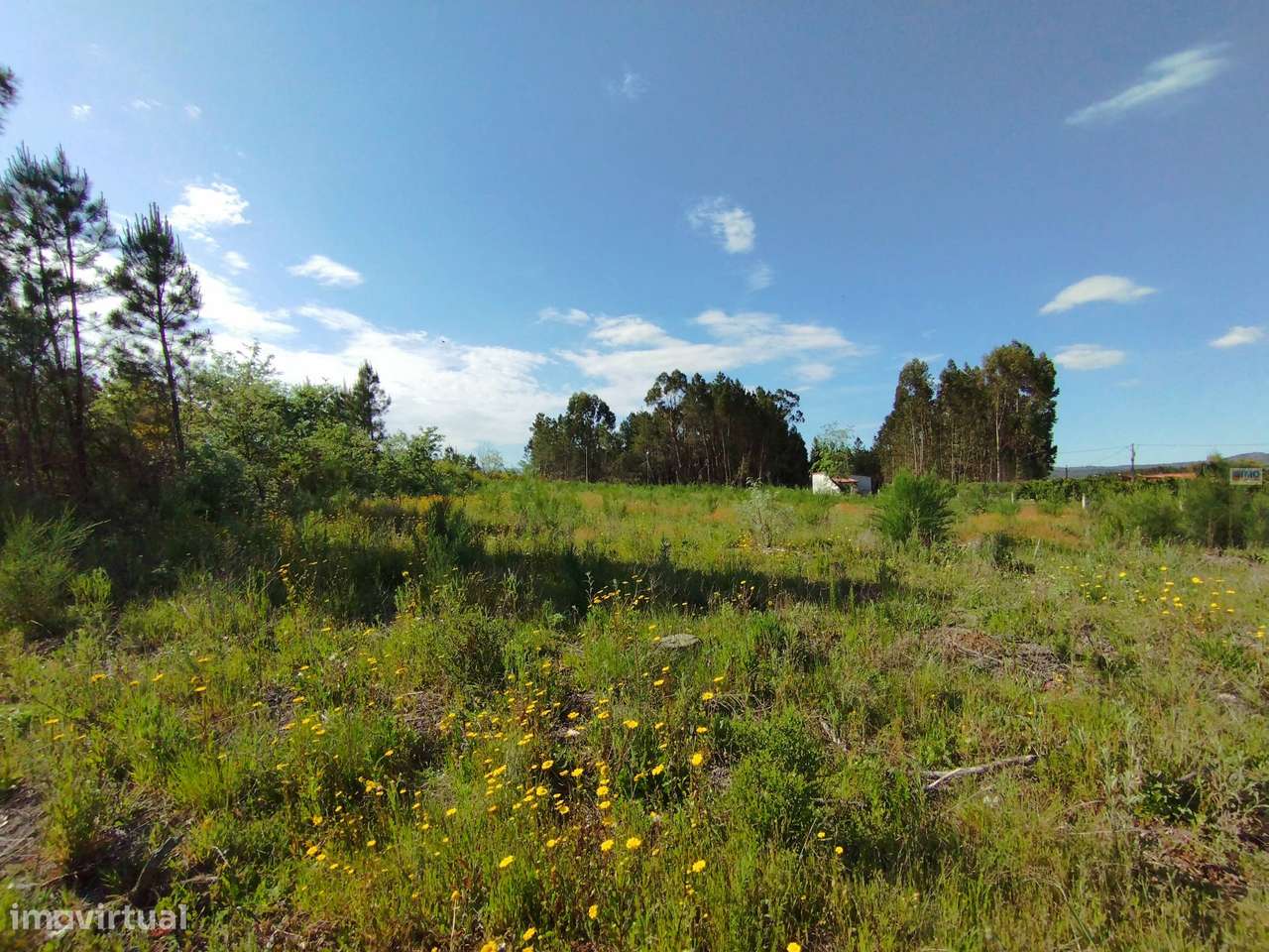 Terreno c/ Regadio - Salgueiral - Enxames - Fundão - Grande imagem: 2/9