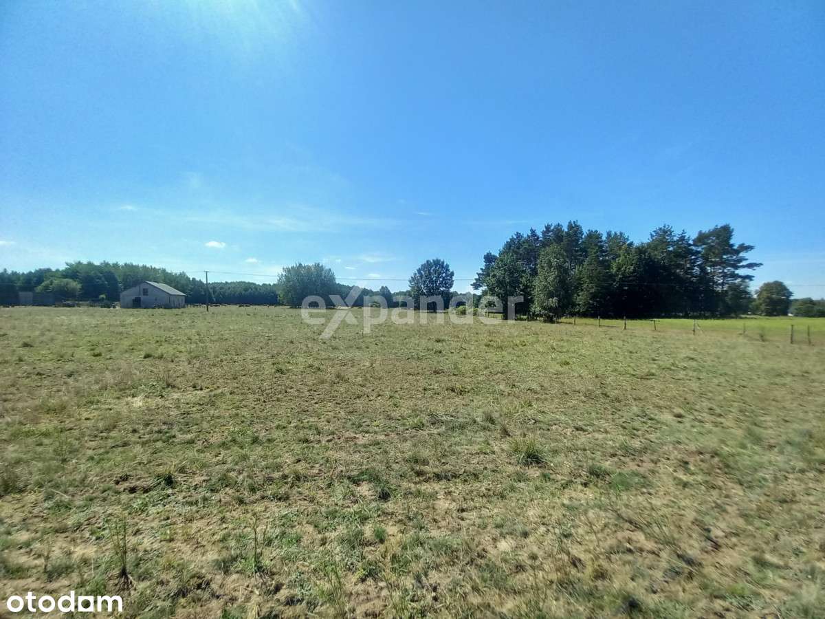 Józefowo 7,37 HA Działka Rolna Blisko Lasu - Pełny obrazek: 4/9