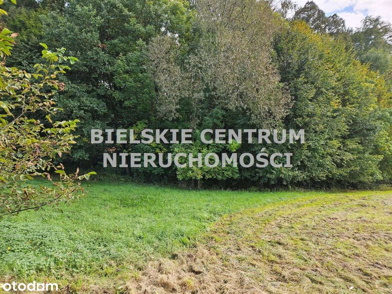 Działka, 13 942 m², Mazańcowice-7