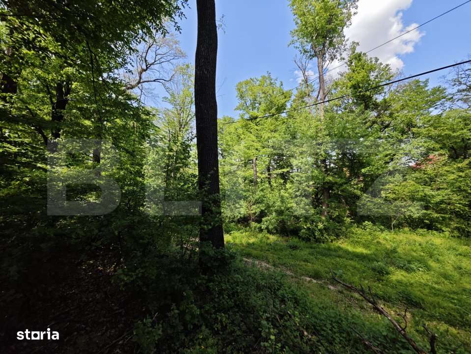 Casuta de vacanta in padure , zona Barnova - Imagine principală: 3/8
