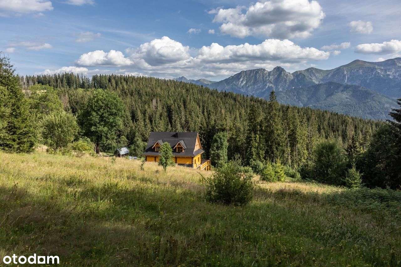 Ostatnia taka działka w Tatrach! - Kościelisko - Pełny obrazek: 5/13