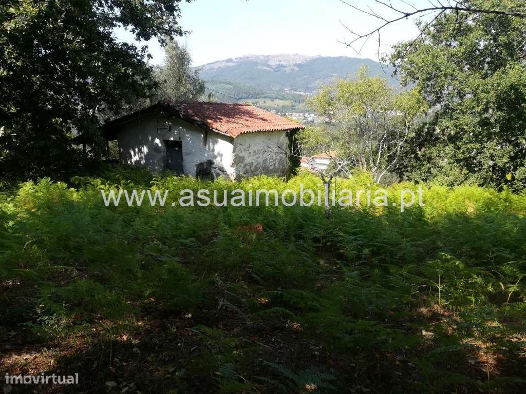 Quintinha c/ 2 Casas em Pedra - Grande imagem: 5/7