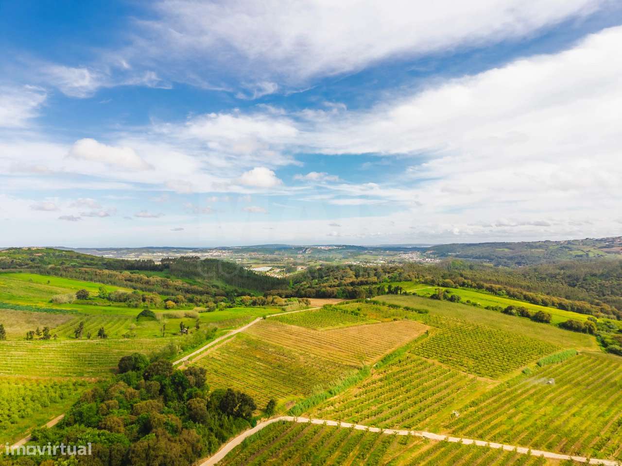 Terreno 2120m2 para construção | Azambujeira dos Carros | Bombarral - Grande imagem: 3/8