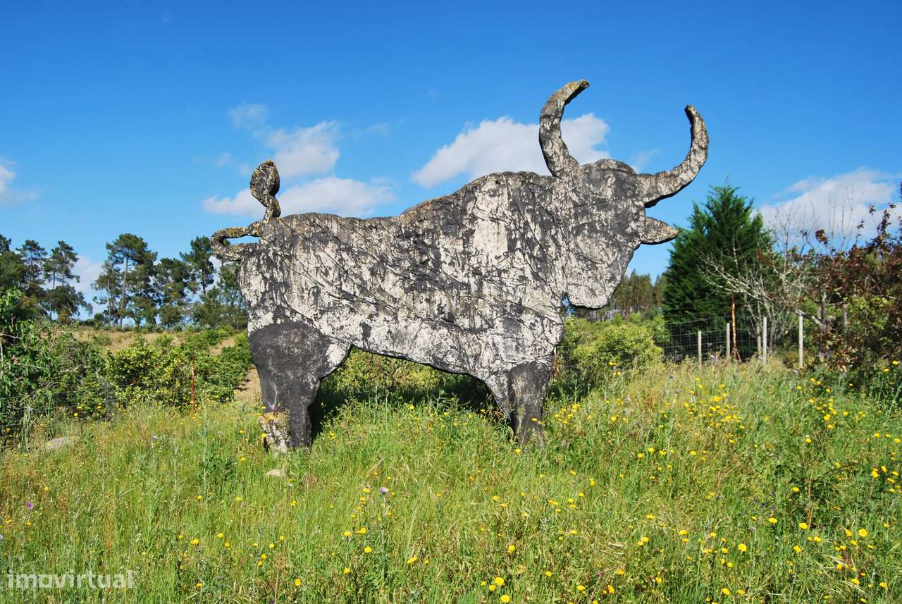 Terreno rústico 28200m2 em Vale do Junco, Chamusca, Golegã-22