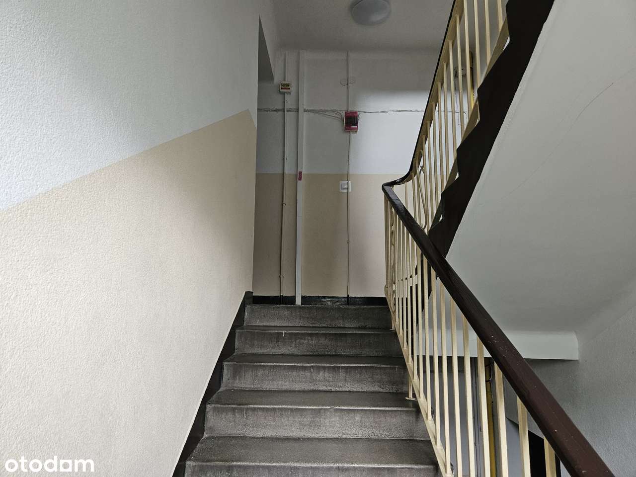 Duże, jasne mieszkanie trzypokojowe w samym centrum Błonia-8