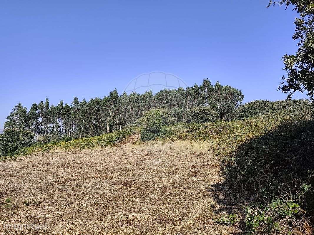 Terreno  para venda - Grande imagem: 3/8