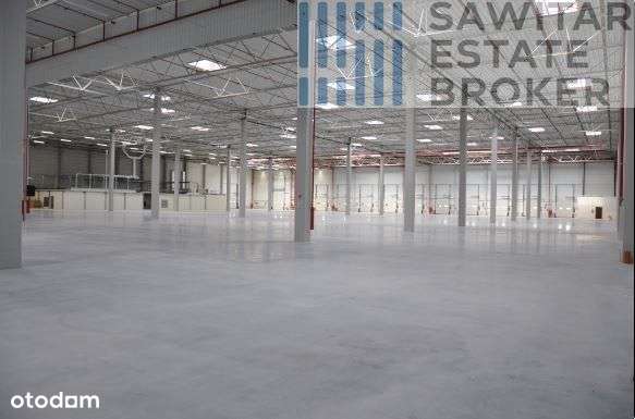 Hala klasy"A" Mirków-bez prowizji - Pełny obrazek: 5/6