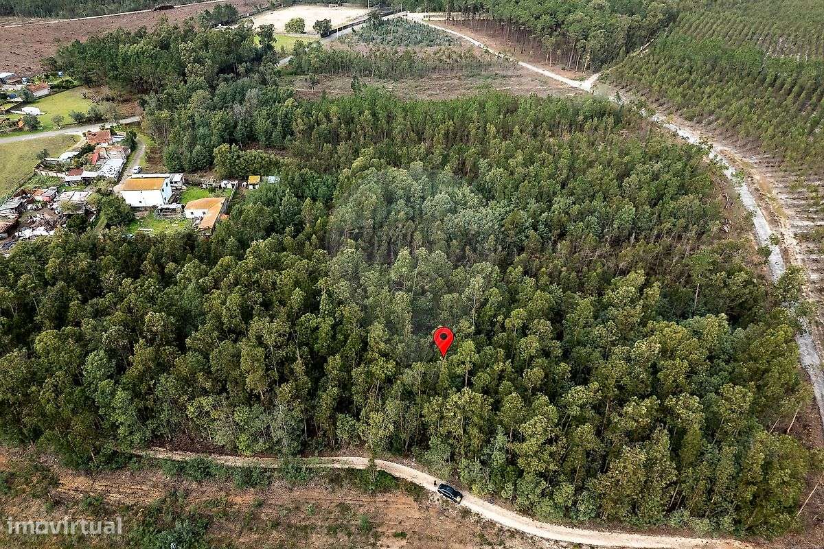 Terreno  para venda - Grande imagem: 2/10