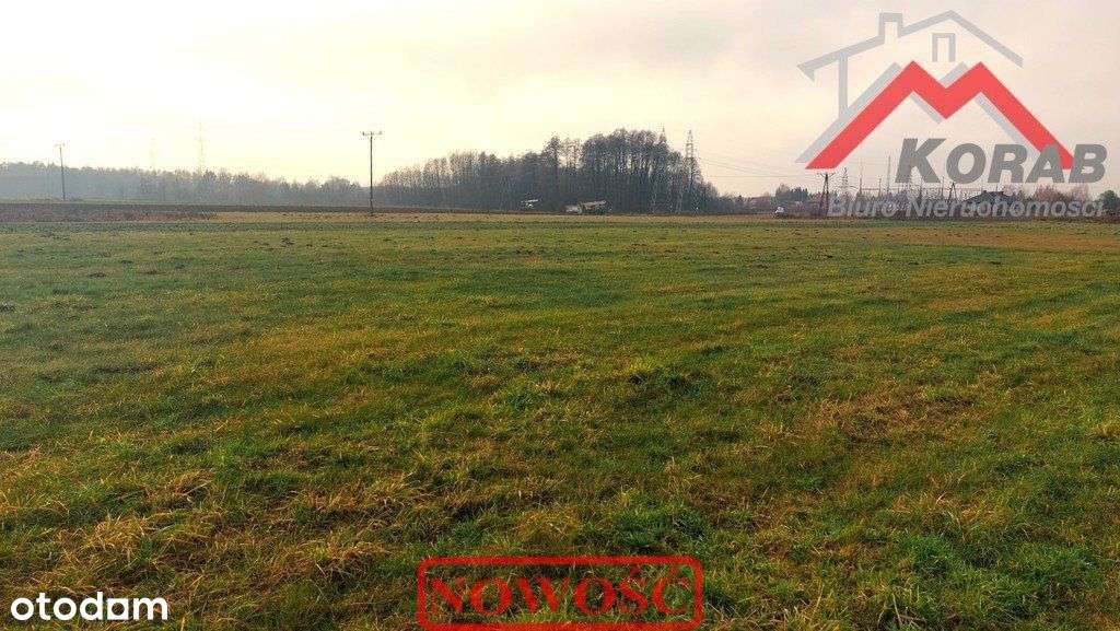 wydane prawomocne Wz-2