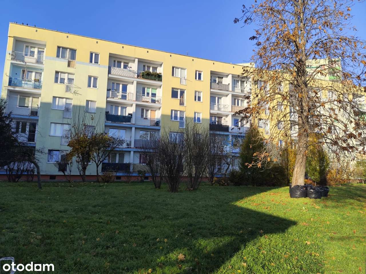 Mieszkanie na sprzedaż, Nysa ul. Korczaka-17