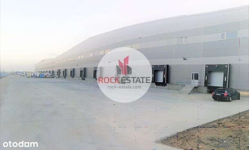 Magazyn Pęcice 3900 m2 od zaraz - Pełny obrazek: 4/8