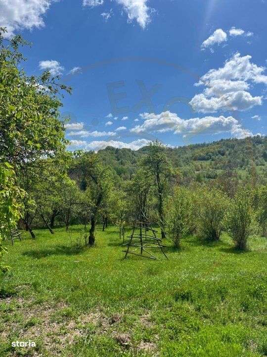 Teren 1200 mp + Casa - Comuna Arefu - Imagine principală: 4/5