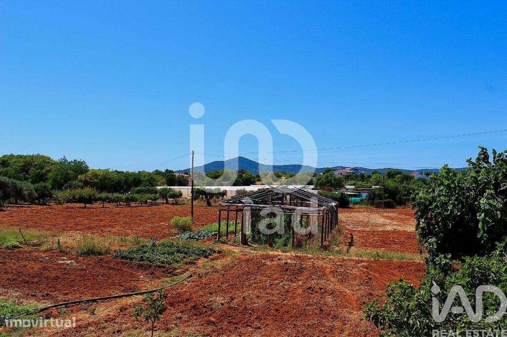 Casa / Villa T3 em Conceição e Estoi de 112,00 m2 - Grande imagem: 5/30