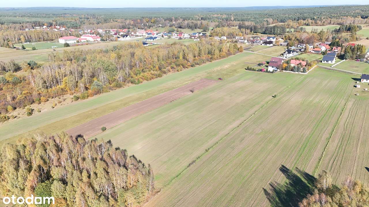 Miedzierza , działka budowlana , rekreacja - Pełny obrazek: 4/10