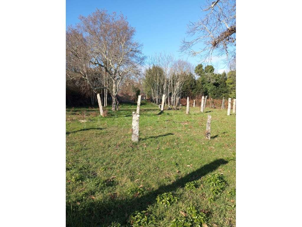 Moradia T3 - Troporiz, Monção-6