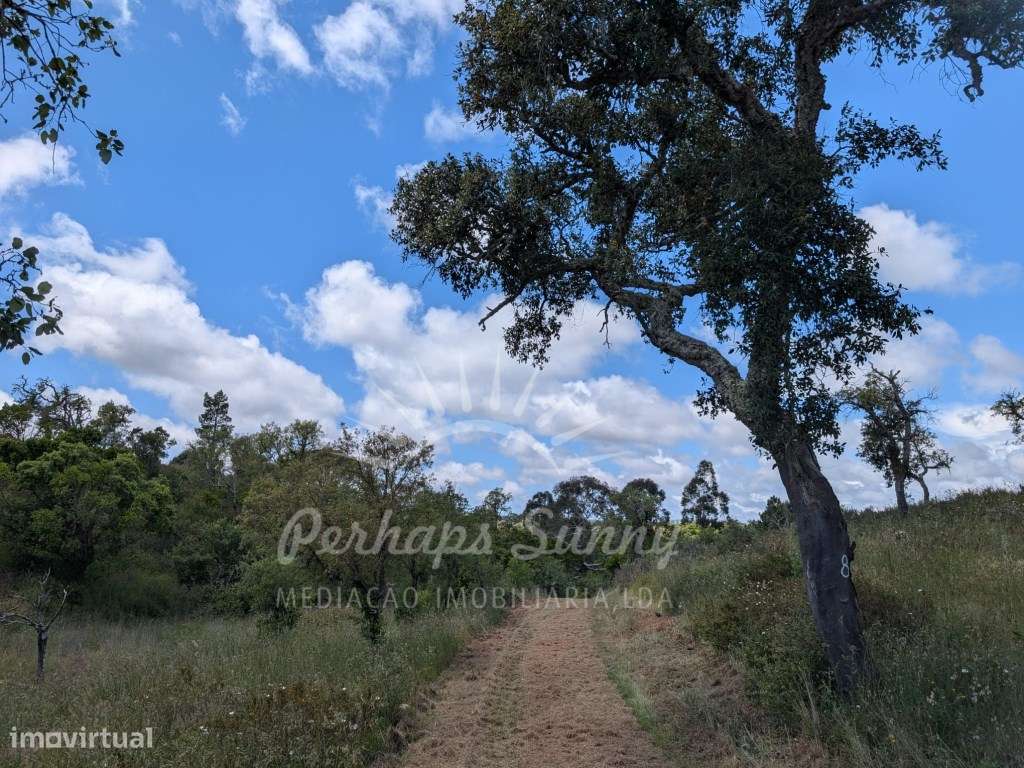 Quintinha com projeto aprovado Dependência Agrícola - Grande imagem: 3/31