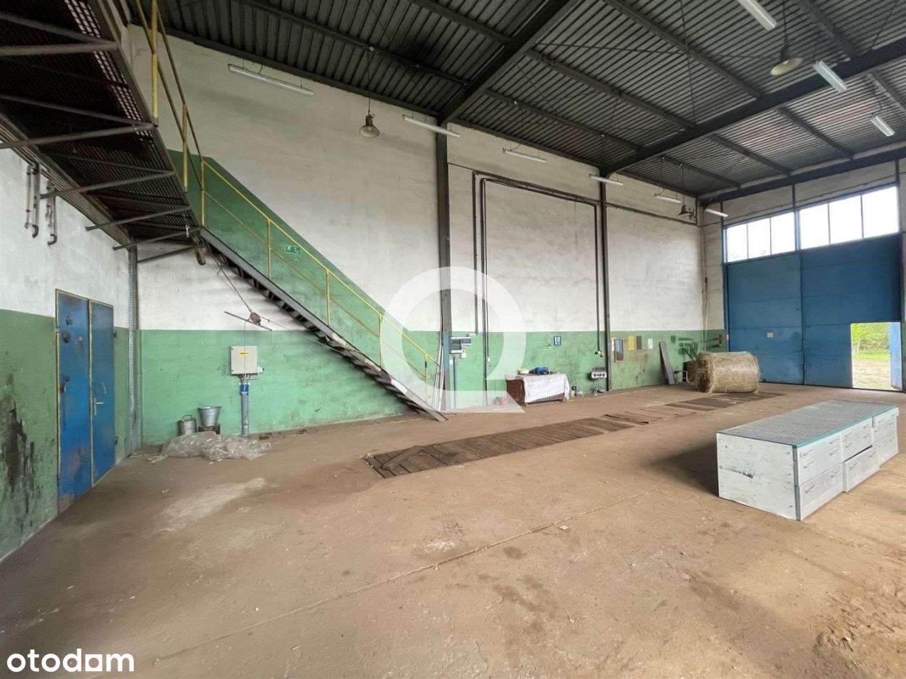 Plac I Hala Niedaleko Dct Przy Rafineri - Pełny obrazek: 5/5