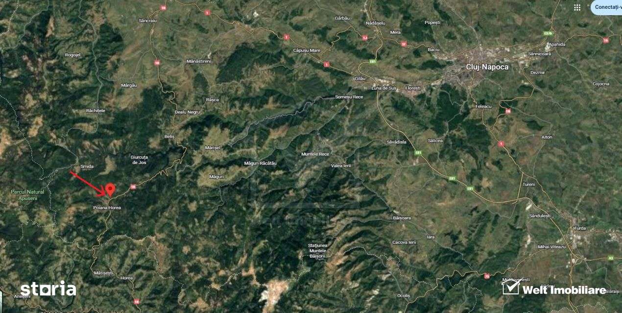 Se vinde teren cat un munte in Apuseni - Poiana Horea-17