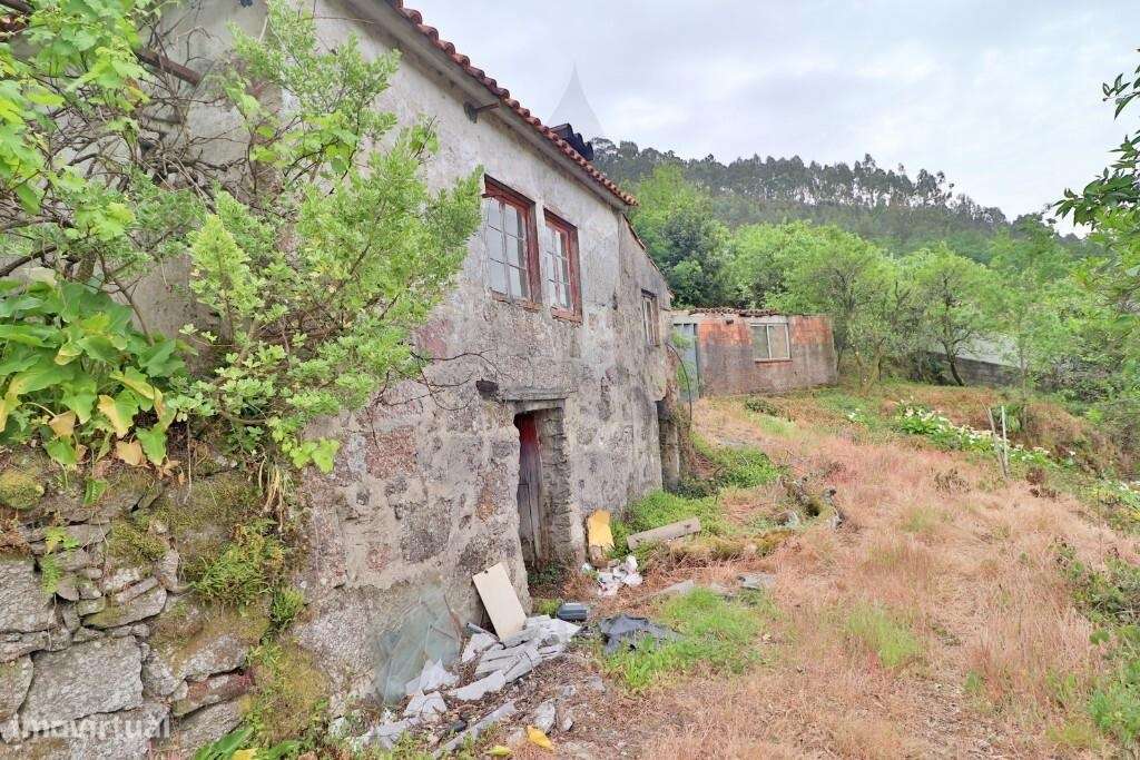 Duas Moradias em Escudeiros c/ aprox. 3.200m2 de terreno-8