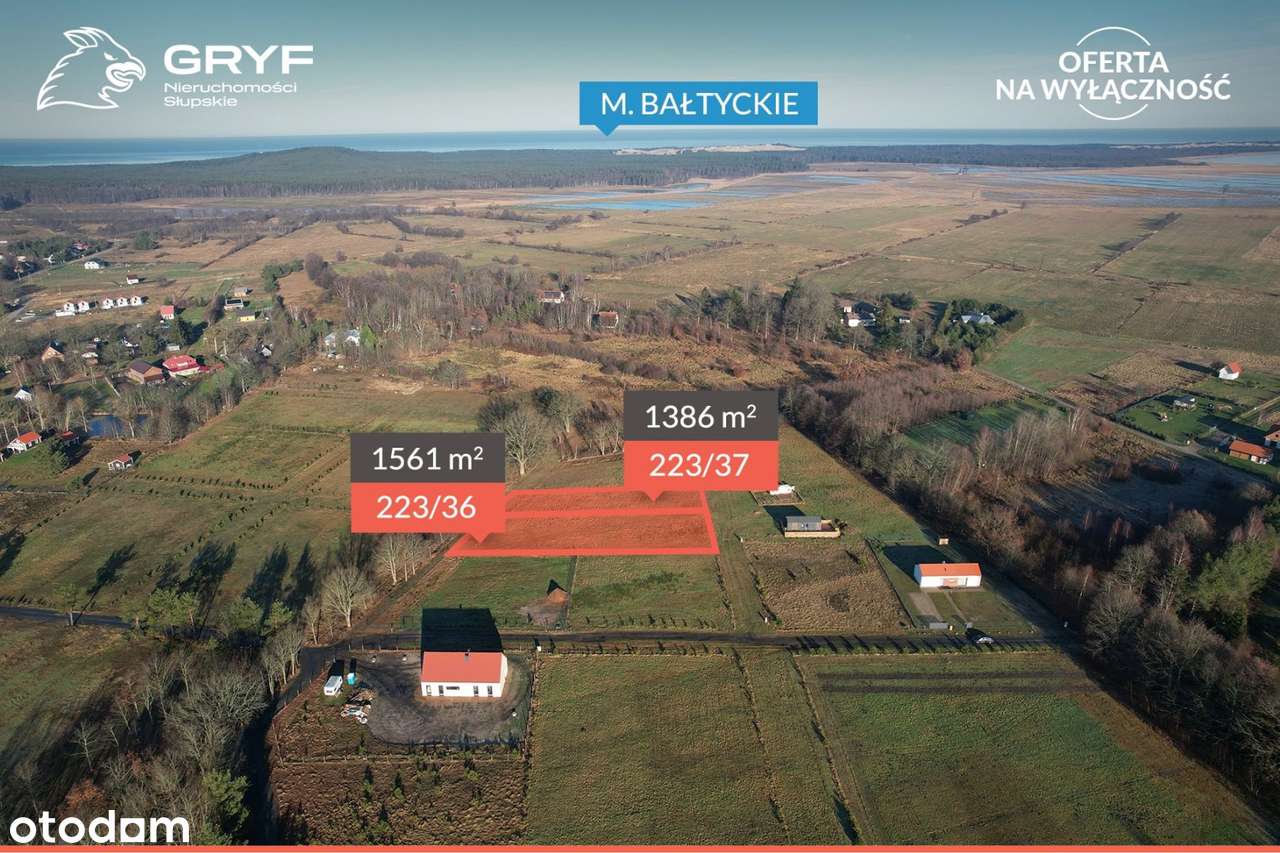 Smołdziński Las - działka - Pełny obrazek: 1/4