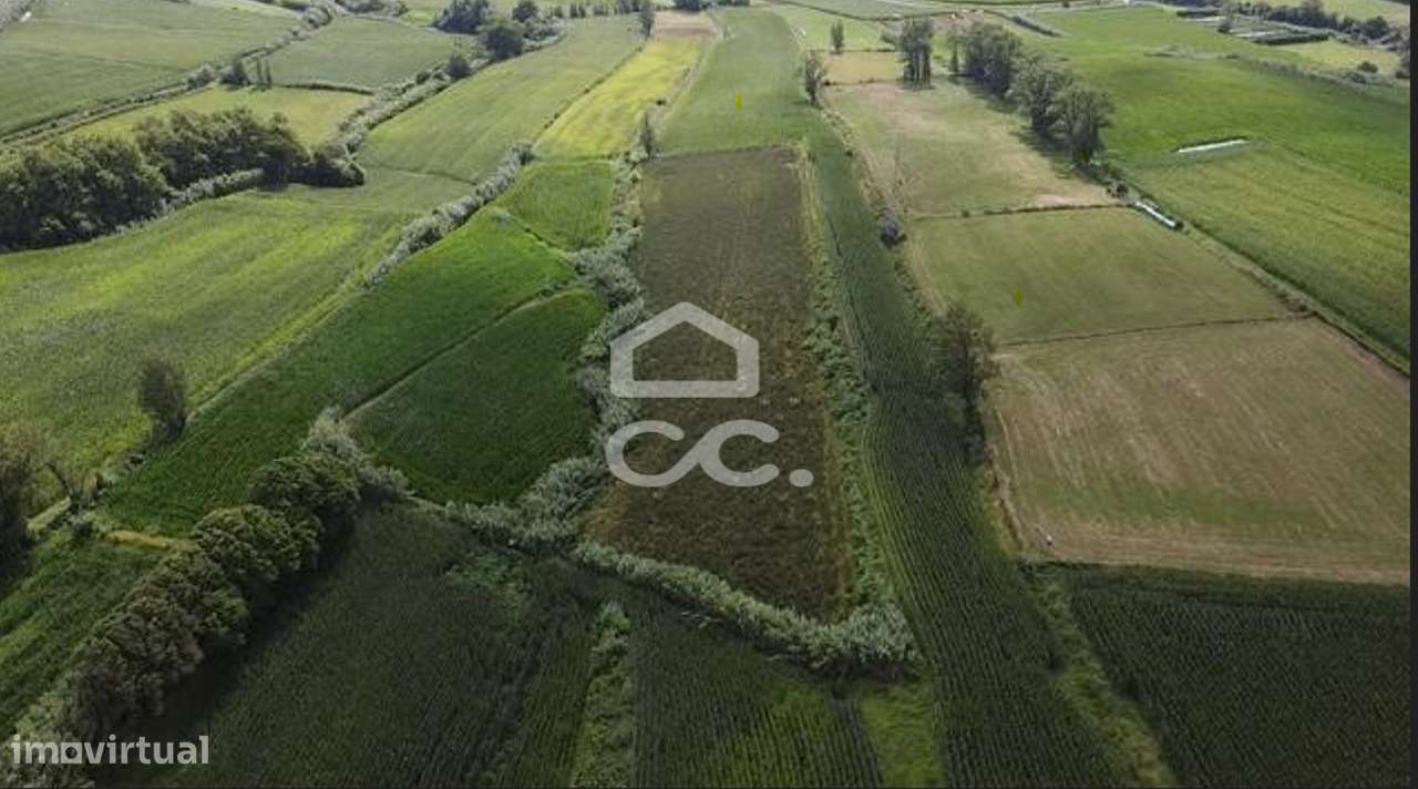 Terreno com 9.700,00 m2 - Santa Cruz - Lagoa - Grande imagem: 5/9