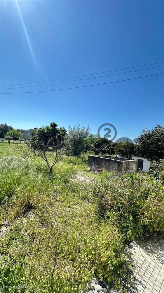 Quinta T3 com 3.780m2 Terreno, Pomar, Poço e Tranquilidade a 50 minuto - Grande imagem: 4/46