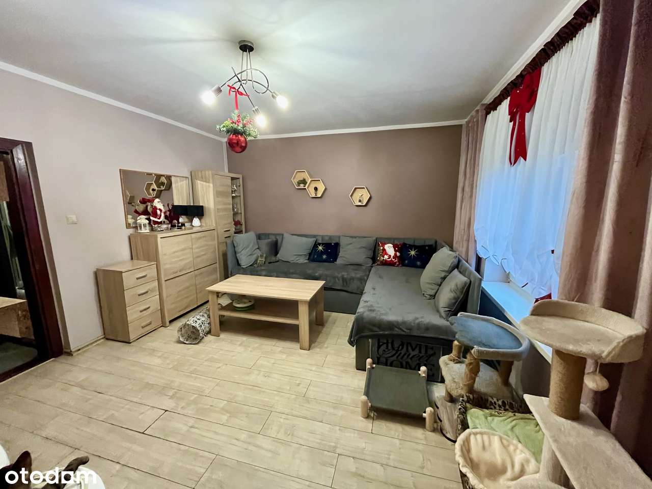 Zadbany dom z dużą działką i garażem 48 m² – Mikołów, Borowa Wieś - Pełny obrazek: 2/9