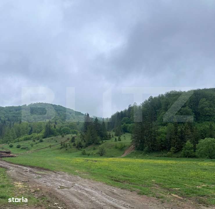 Teren intravilan 20.000 mp, zona Soarecului, Marginea - Imagine principală: 2/3