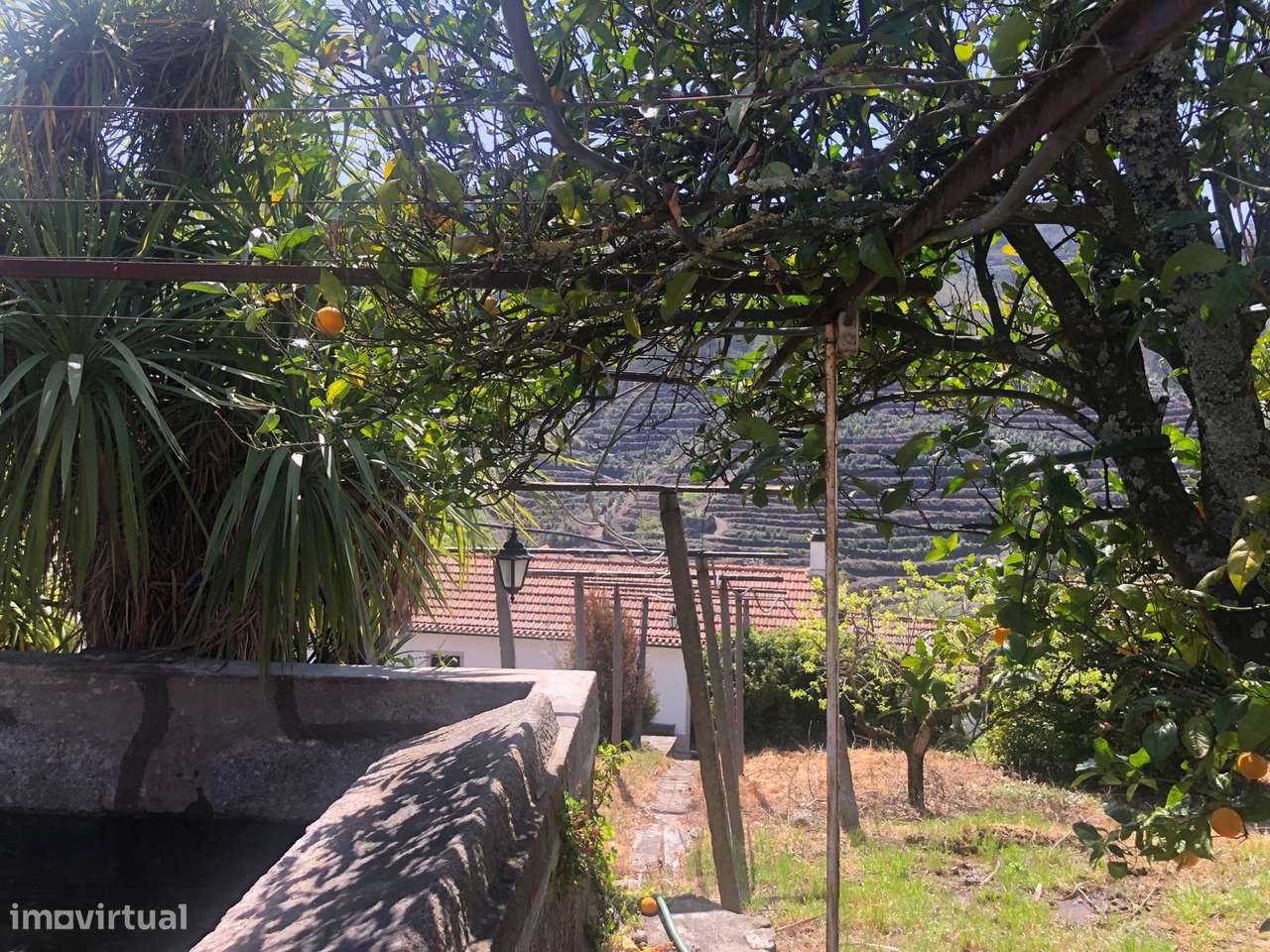 Quinta espetacular na região do vinho verde em plena produção-35