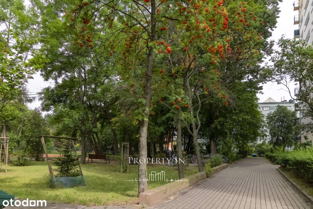 2pok. | dobry rozkład | do remontu | Ochota |-12