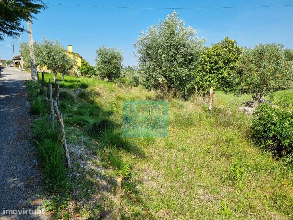 TERRENO Urbano - Grande imagem: 2/17