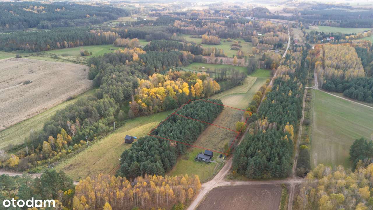 Szramowo,gm.Zbiczno  działka z lasem i dec.o war.zab - Pełny obrazek: 5/7