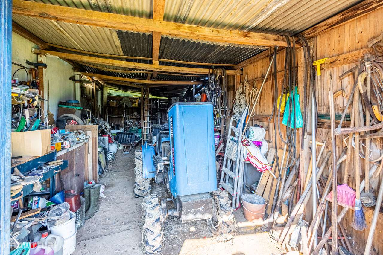 Apresento terreno agrícola com apoio habitacional T2 no Cartaxo-4