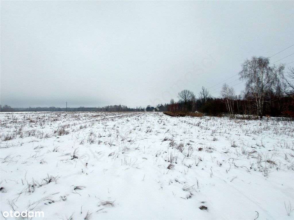 Warunki Zabudowy, Dojazd Asfaltem, Media.-6