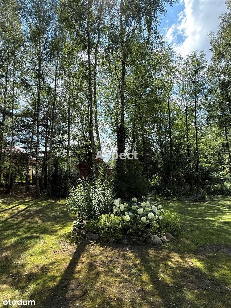 Wyjątkowa nieruchomość letniskowa z duszą - Pełny obrazek: 5/18