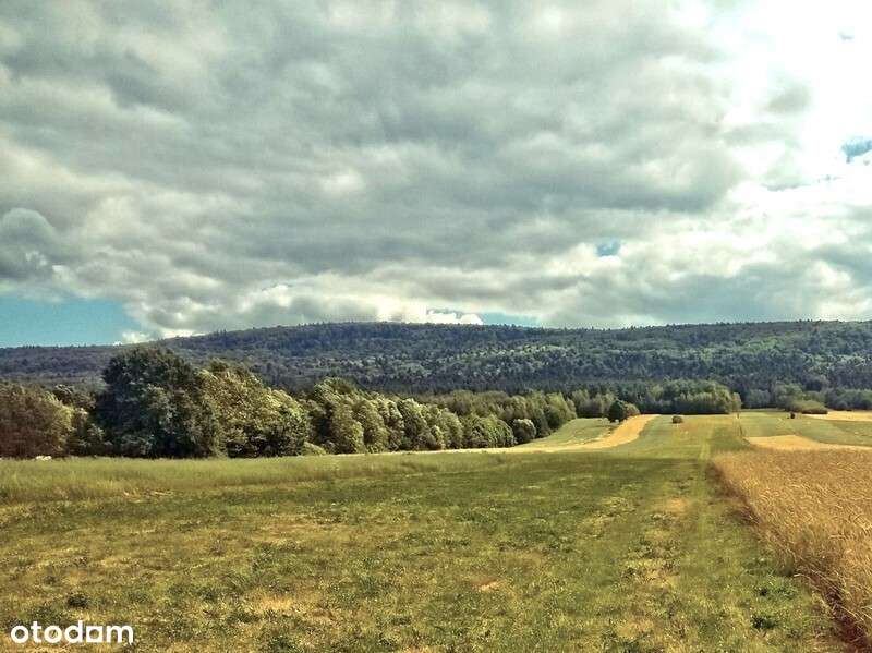 Dom+b. gospodarcze+duża działka-14