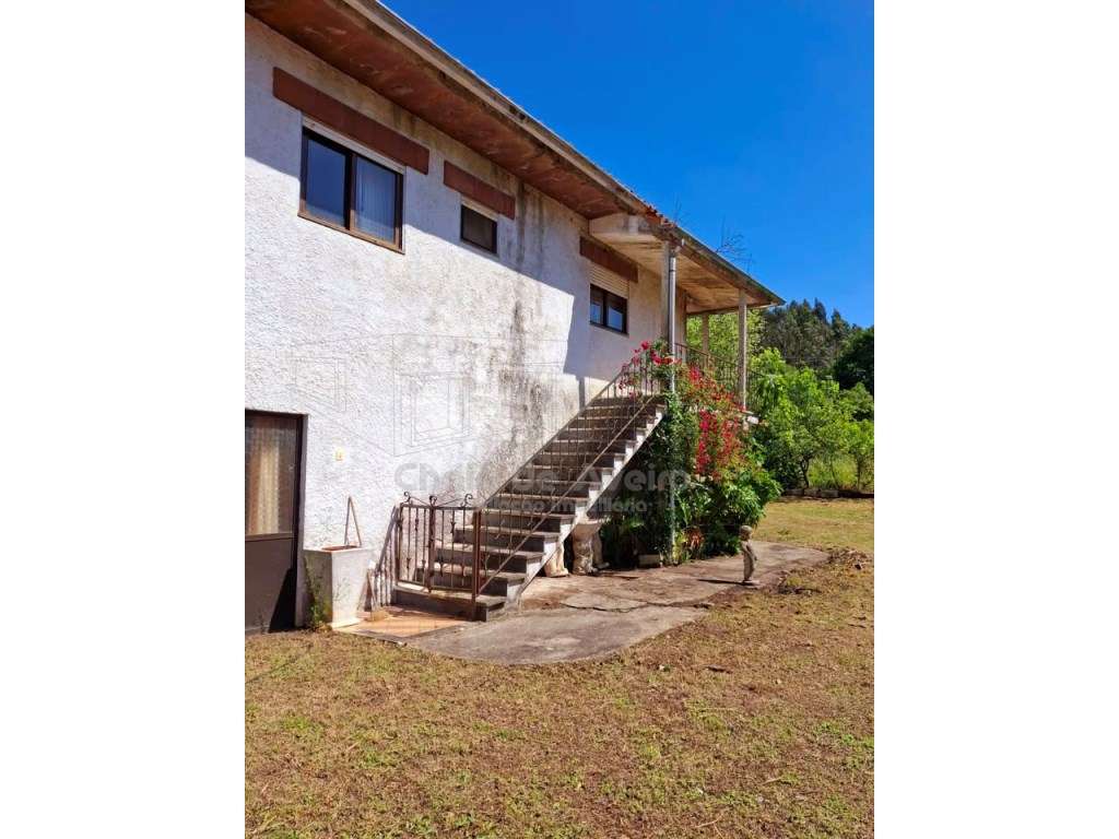Quinta com 5.000 m2 e casa habitação T5 em Águeda-43