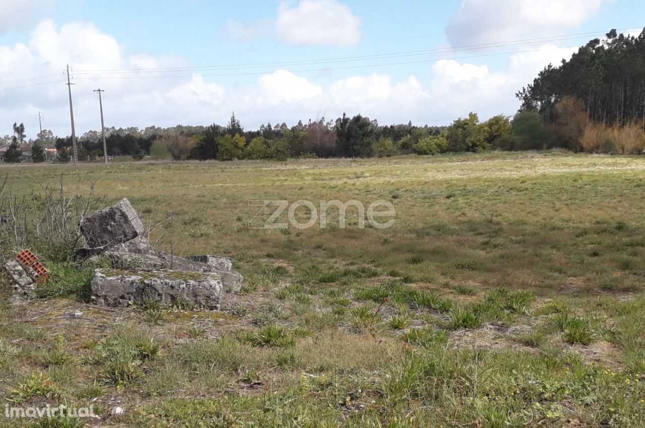 Terreno | Tocha | Oportunidade | Construção