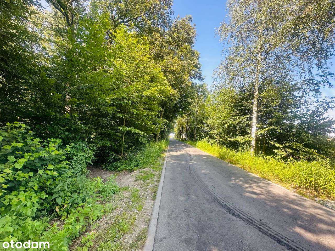 Działka rolna w malowniczej lokalizacji/INWESTYCJA/Las-6