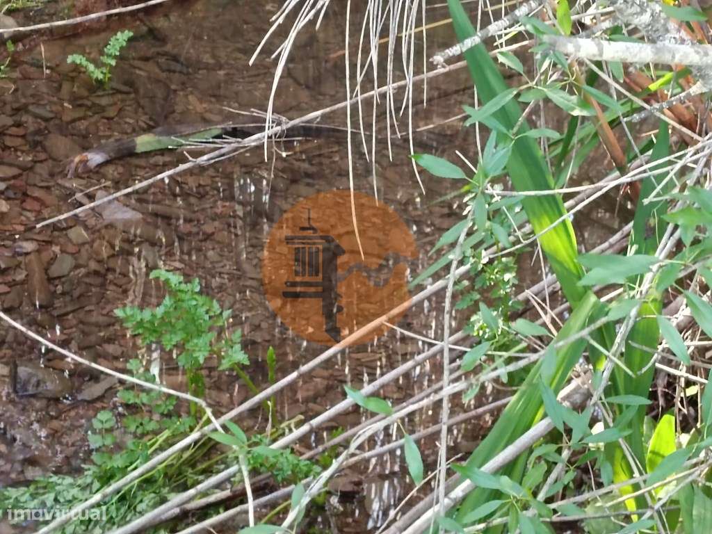 TERRENO RUSTICO COM 6.520 M2 - JUNTO A LINHA DA AGUA - PISA BARRO -... - Grande imagem: 3/33