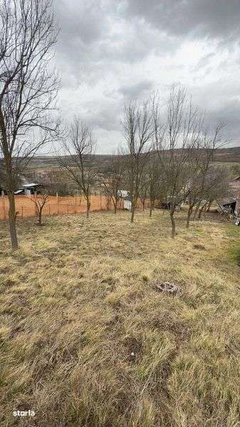 Vand 1064 mp teren intravilan Barlea judetul Cluj - Imagine principală: 5/6