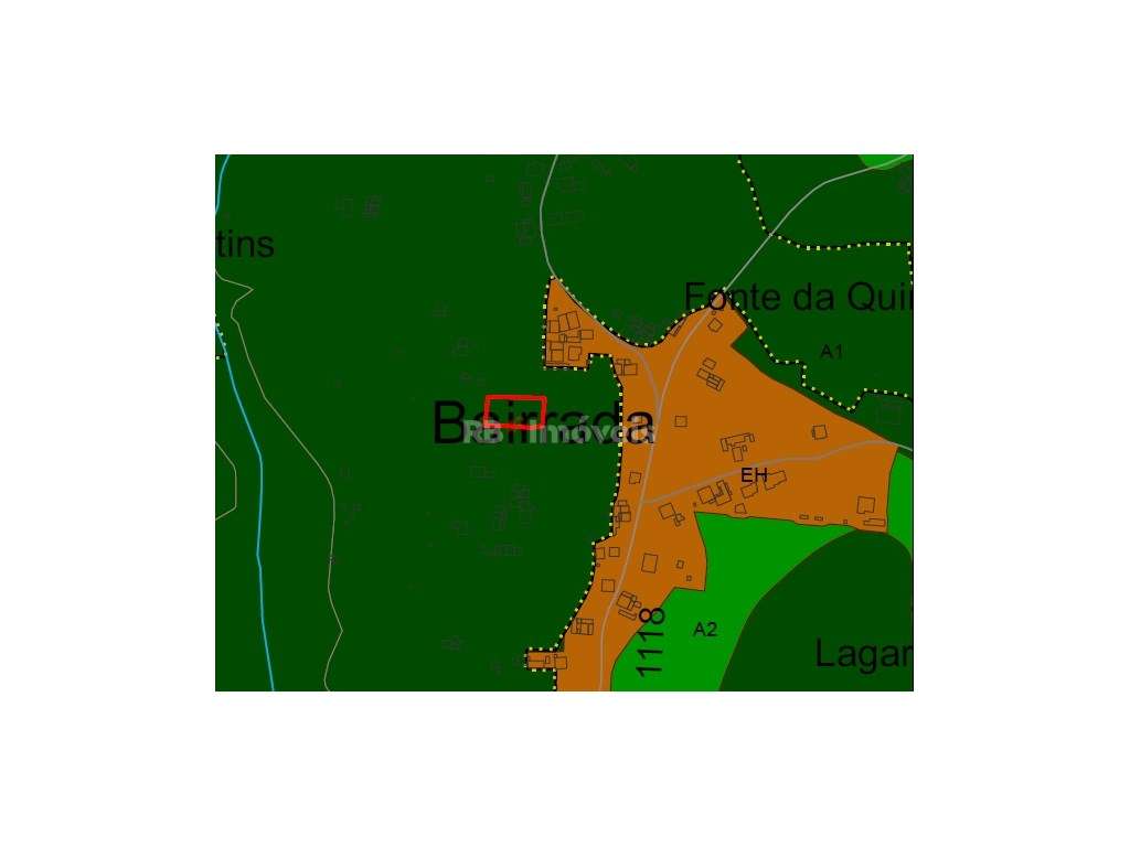 Terreno rústico - Bairrada, Tomar - Grande imagem: 2/18