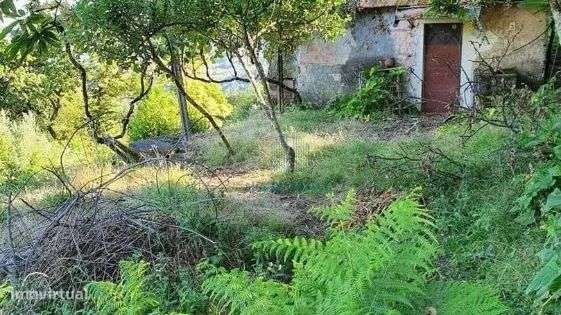 QUINTINHA EM ALVORA - ARCOS DE VALDEVEZ - Grande imagem: 2/17