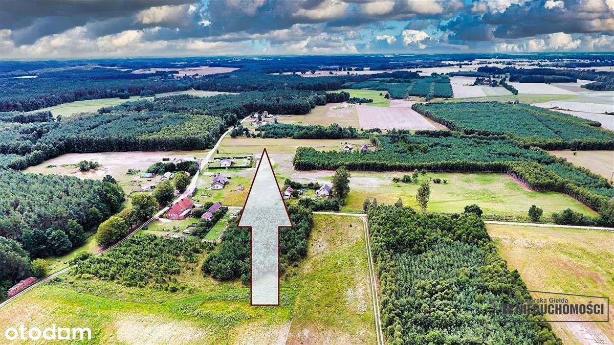 Czyżkowo - działka budowlana około 70 km od Bydgos-8