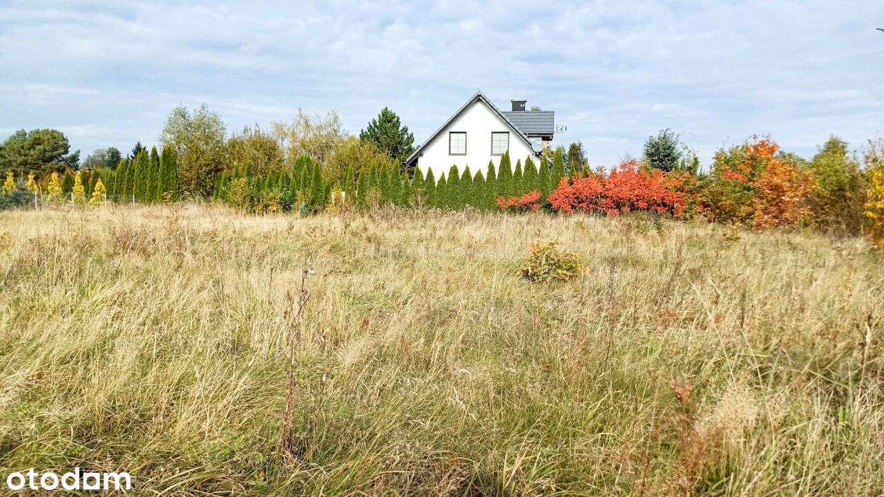 Działka 1246 m2, na sprzedaż - Nieżywięć. - Pełny obrazek: 5/13