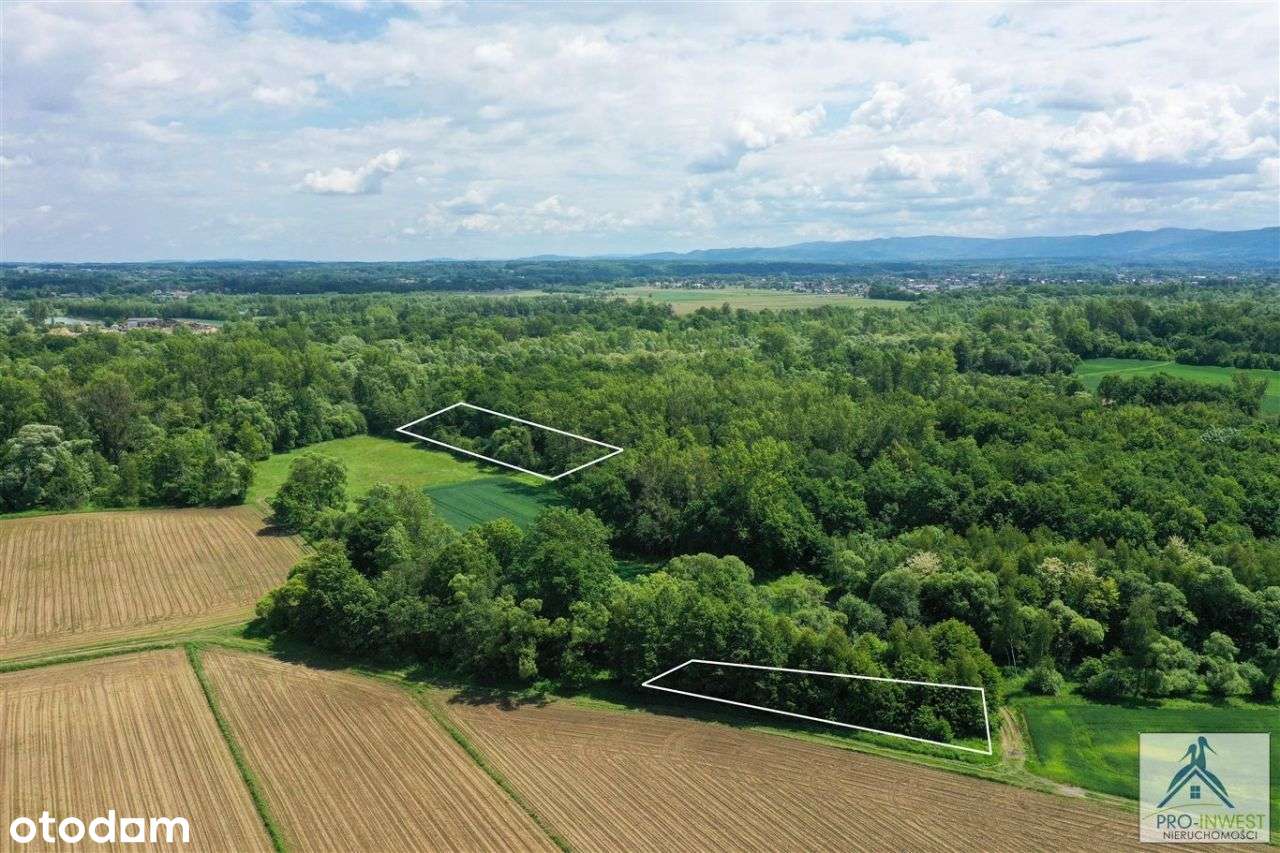 Własny las i tereny zielone – eko pasieka. - Pełny obrazek: 4/16